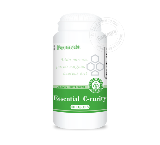 Essential C-curity (60)